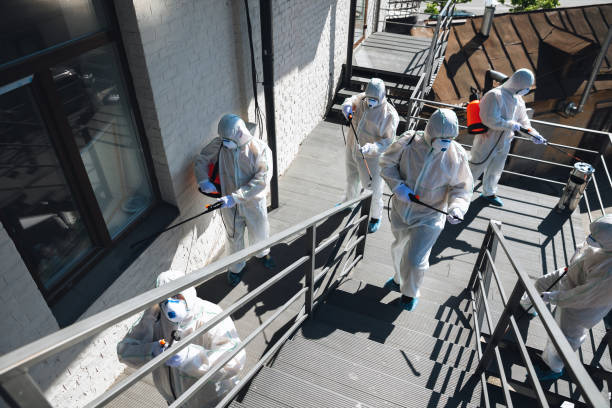 Best Attic Mold Removal  in Tiffin, IA